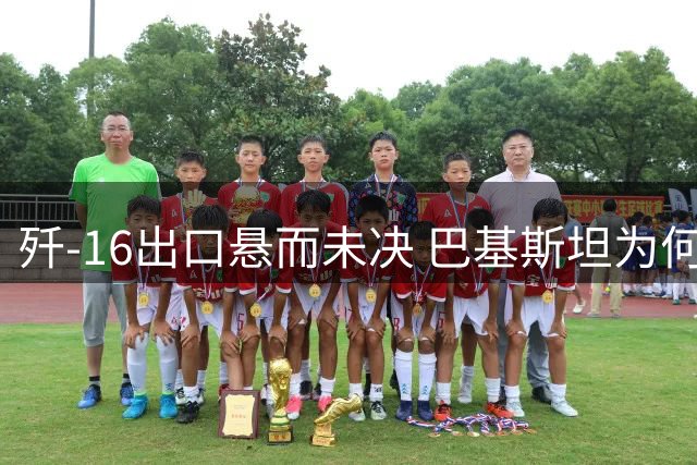 歼-16出口悬而未决 巴基斯坦为何转向歼-35采购